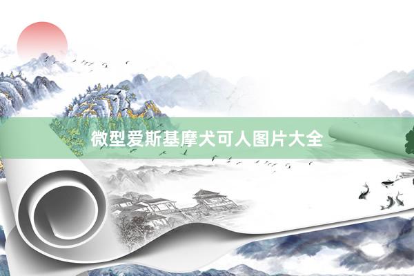 微型爱斯基摩犬可人图片大全
